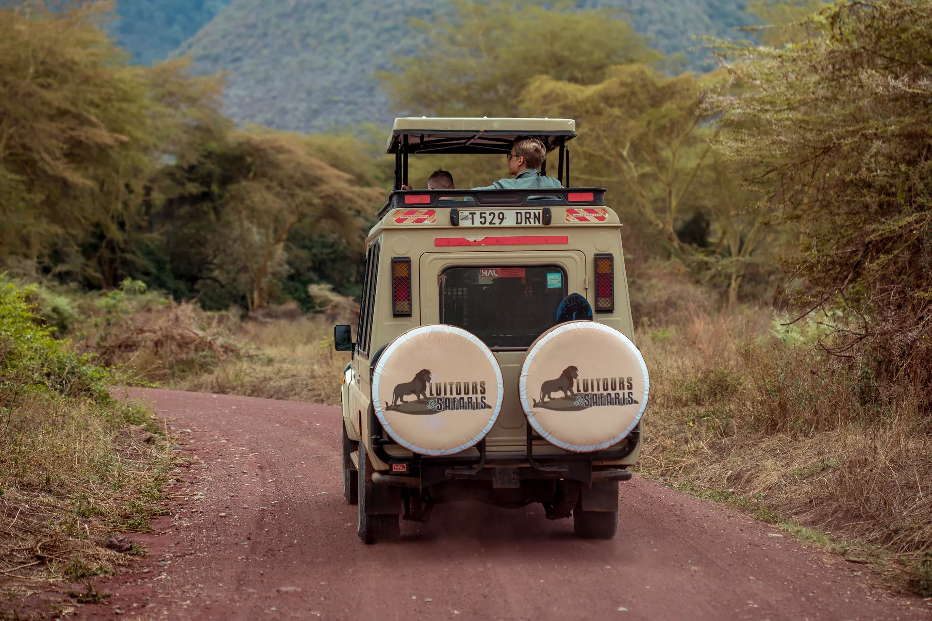 Wildlife in an East African safari landscape
